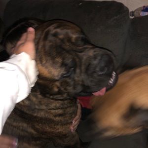 Meet your Posher, Jesse